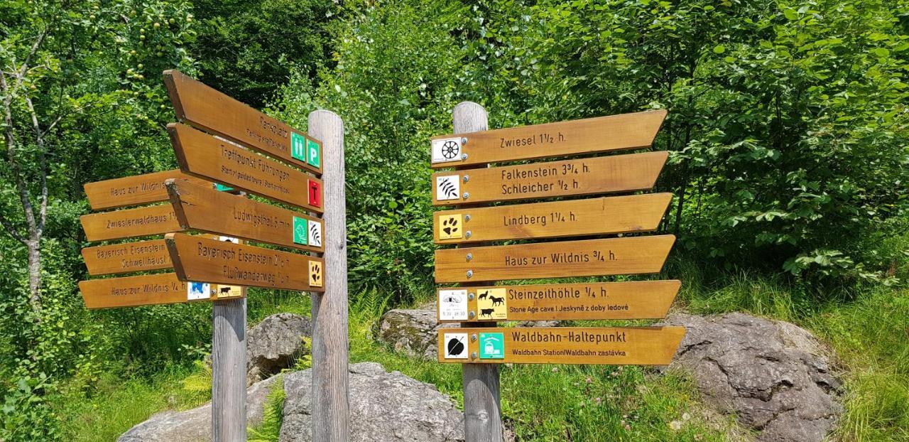 Apartment Am Nationalpark Bayerwald Lindberg المظهر الخارجي الصورة
